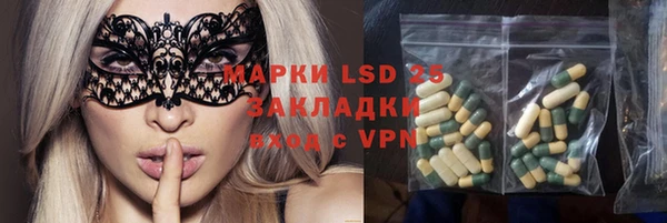 стаф Белоозёрский