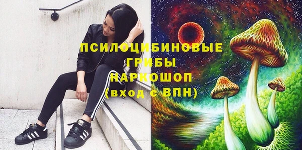 каннабис Белокуриха