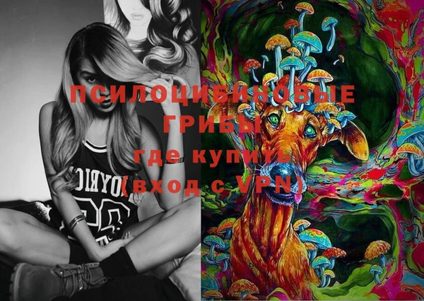 стаф Белоозёрский