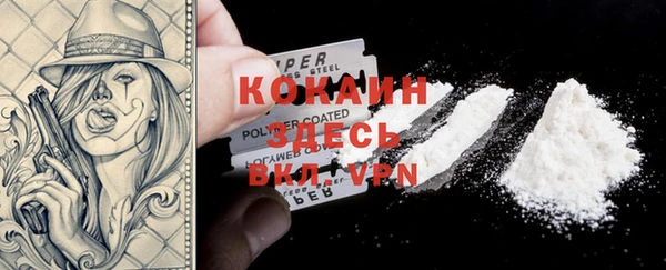 стаф Белоозёрский